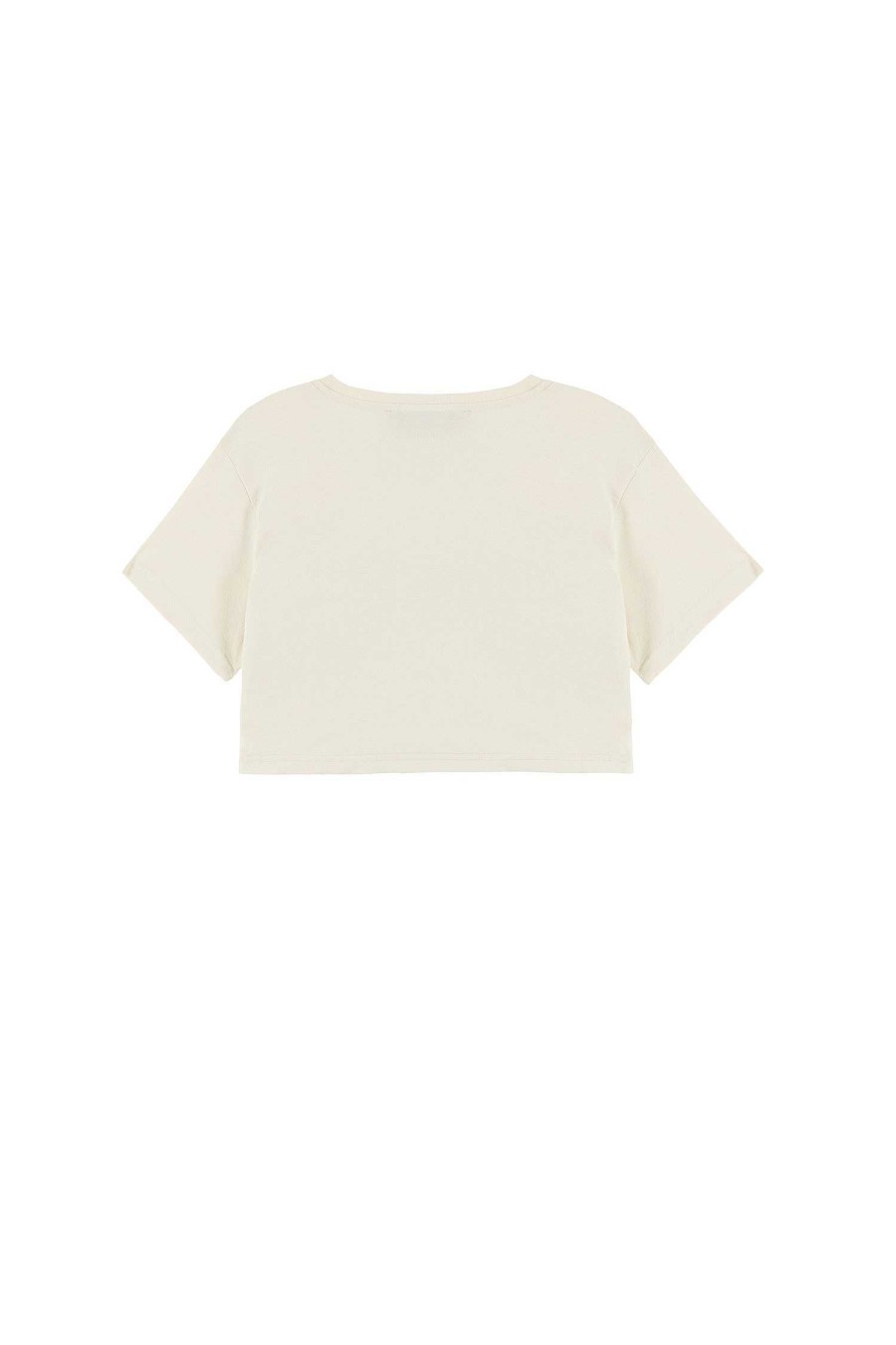 Summer 24 ANIYE BY T-Shirt | Crop Aniye Stud